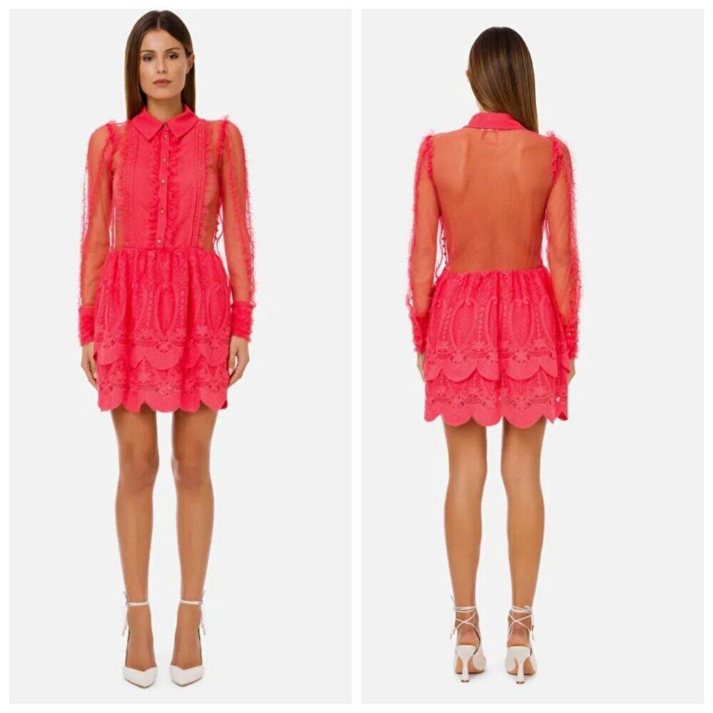ELISABETTA FRANCHI Dress In Pizzo Ricamato